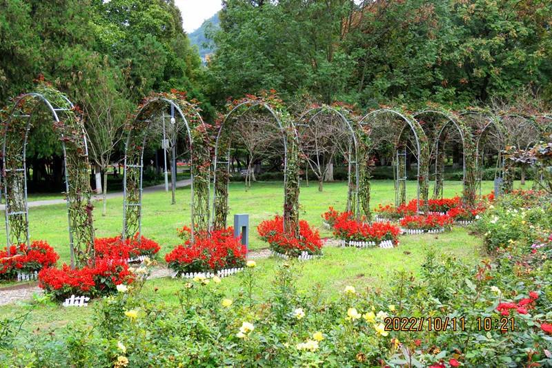 花溪小公园,美丽的花溪公园