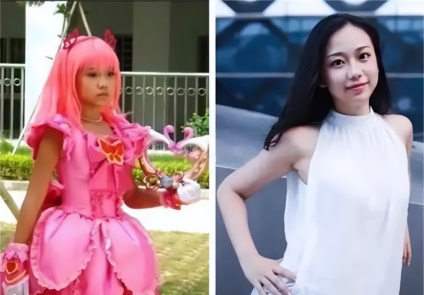 刘美含内娱隐形学霸,刘美含失意者联盟