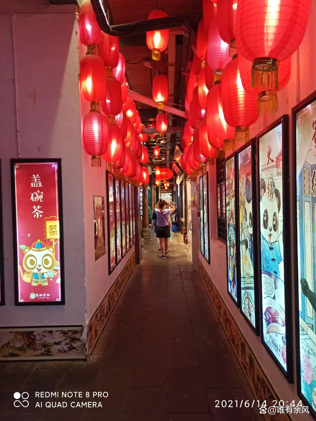 成都免费耍雪36个景点,成都周边看花景点推荐免费