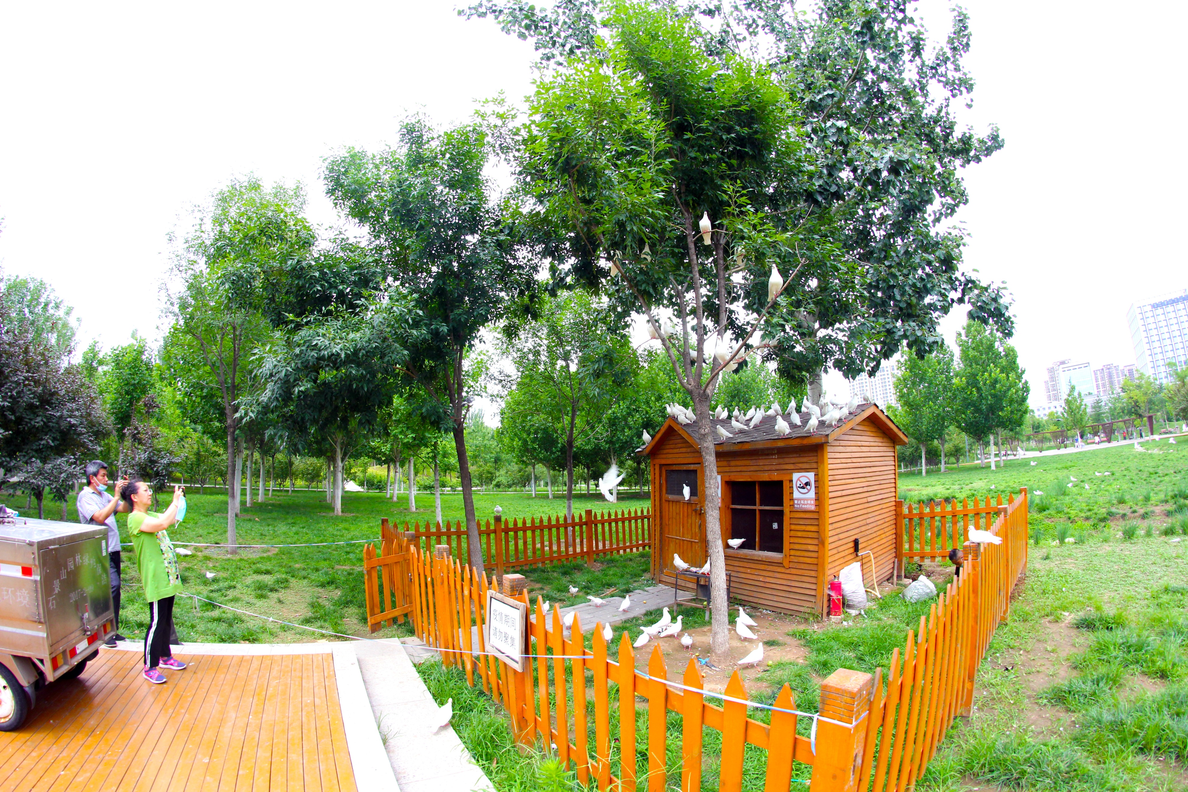 北京古香古色的公园,北京闹市藏着这样一个公园