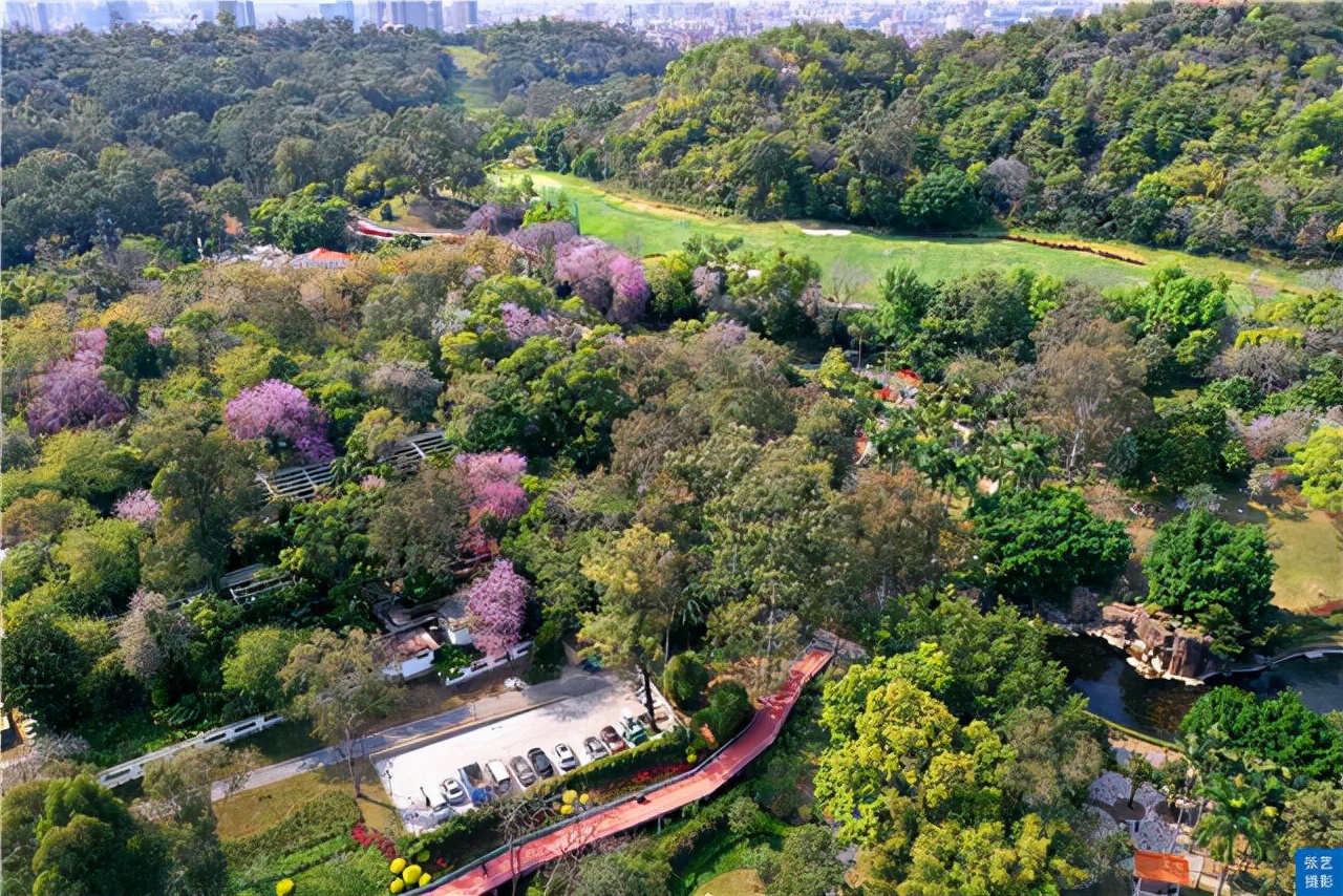 广州风景好又安静的地方推荐,广州最幽静的景点