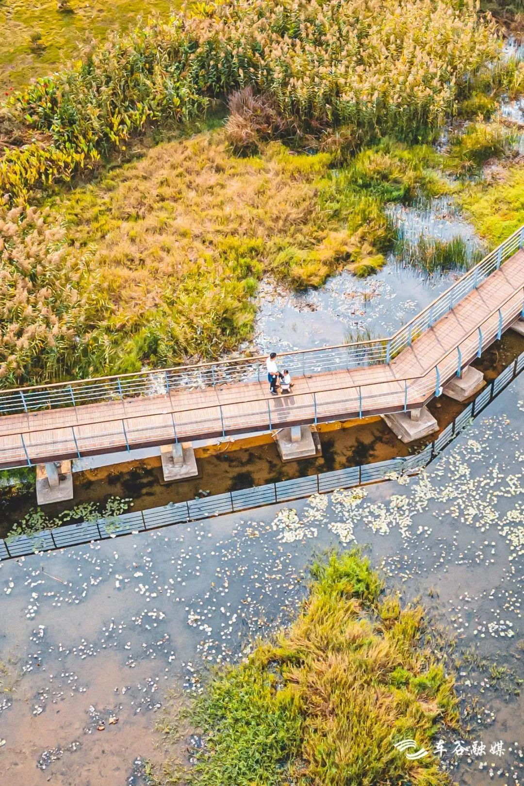 最美绿道骑行攻略,淘金山骑行绿道和东湖骑行绿道