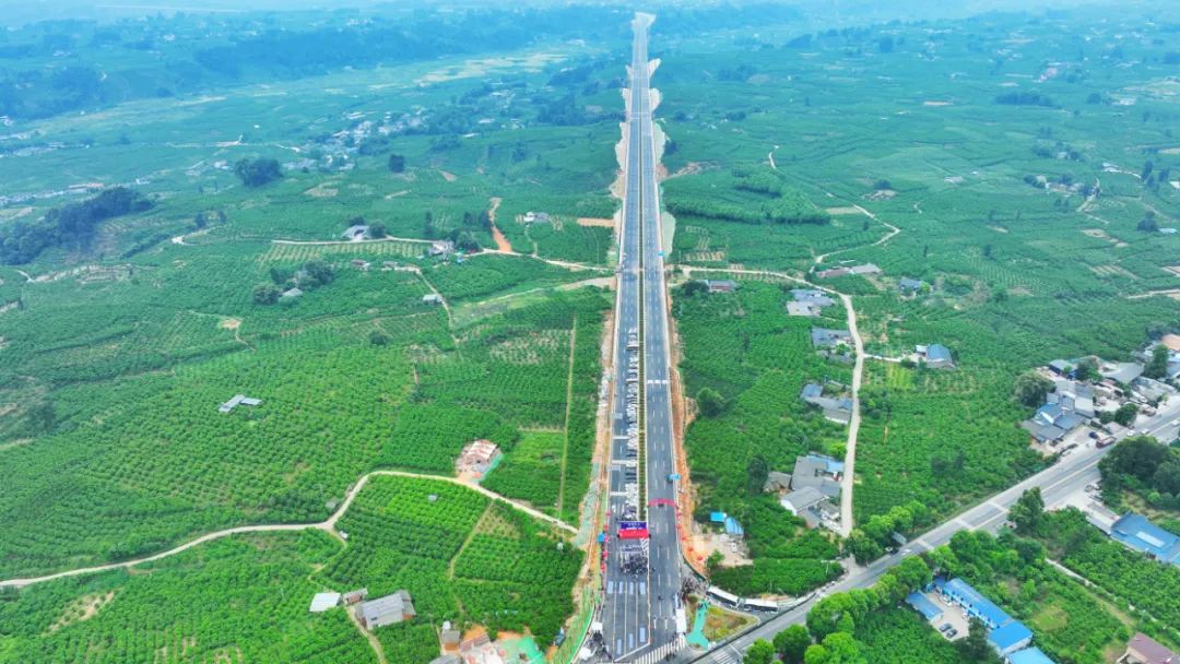 果香飘满“民心路”——四川省蒲江县人大督办代表建议推动打通物流大通道侧记