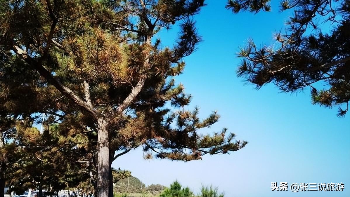 灞变笢16涓湴绾у競椋庢櫙,灞变笢鍗佸叚鍦板競椋庢櫙鐗硅壊