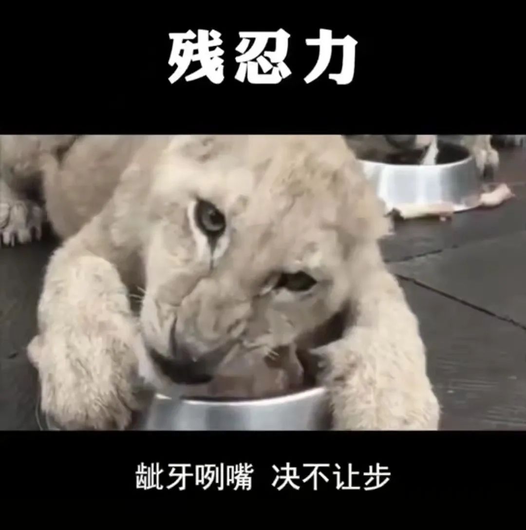 男朋友妈妈觉得我太矮,父母嫌男朋友个子矮怎么办