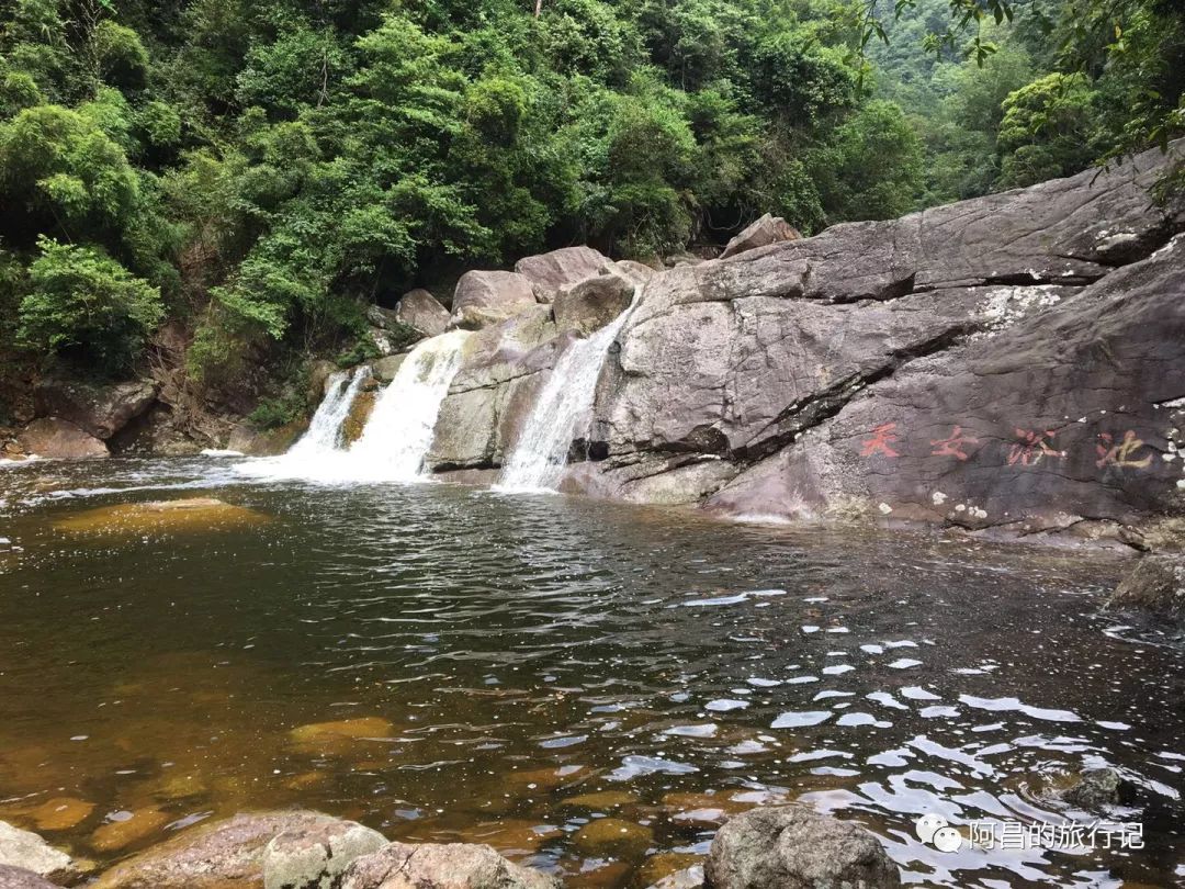 广西十万大山国家森林公园,广西十万大山国家森林公园图片