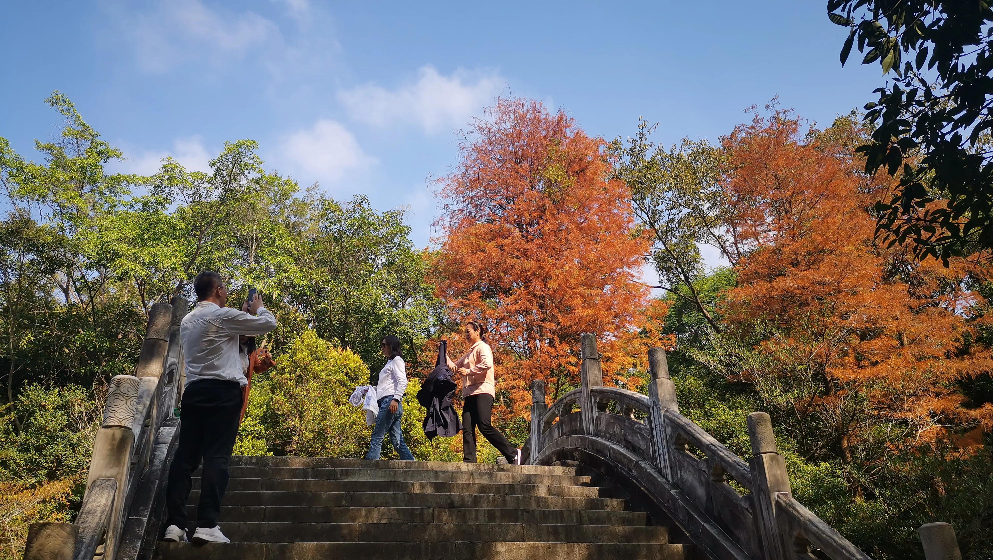 深圳美丽的小镇排名,美丽的小镇清溪