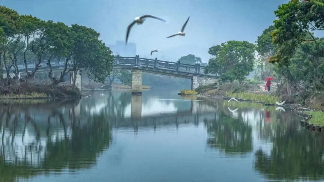 当古诗词遇到秋天有多美,当古诗词遇上莆田方言