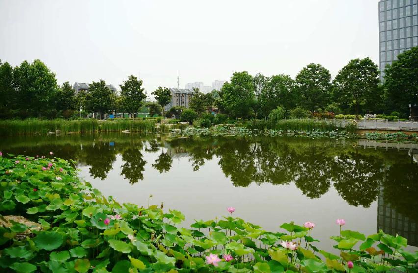 郑州赏花游玩推荐景点,郑州踏青旅游攻略