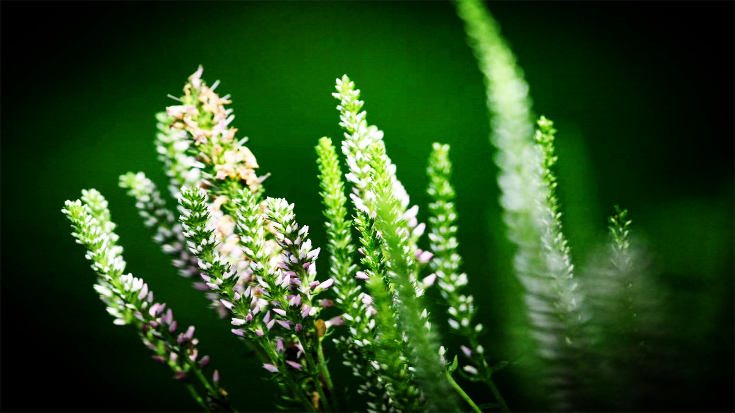 雨过天晴的惬意,雨过天晴很惬意的句子