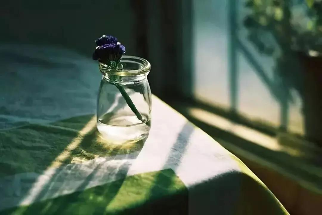 千万别瞎忙人生要先做对这四件事,人生不要瞎忙做这四件事