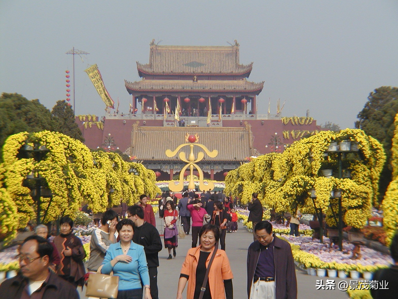 菊花的物态文化、行为文化与精神文化