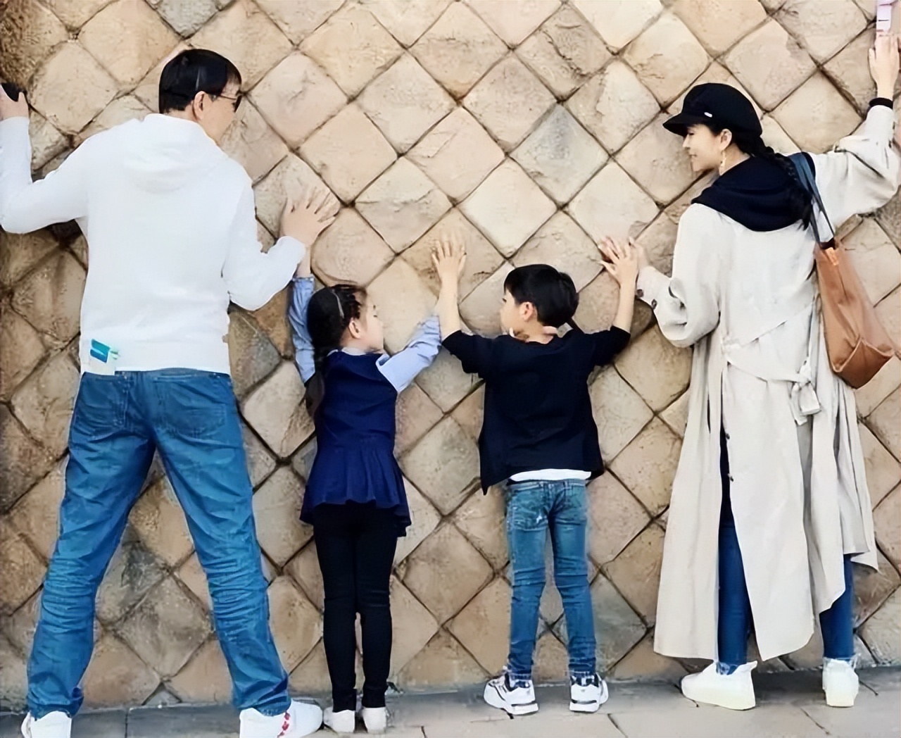 苗圃与王大治,苗圃和王大治什么关系