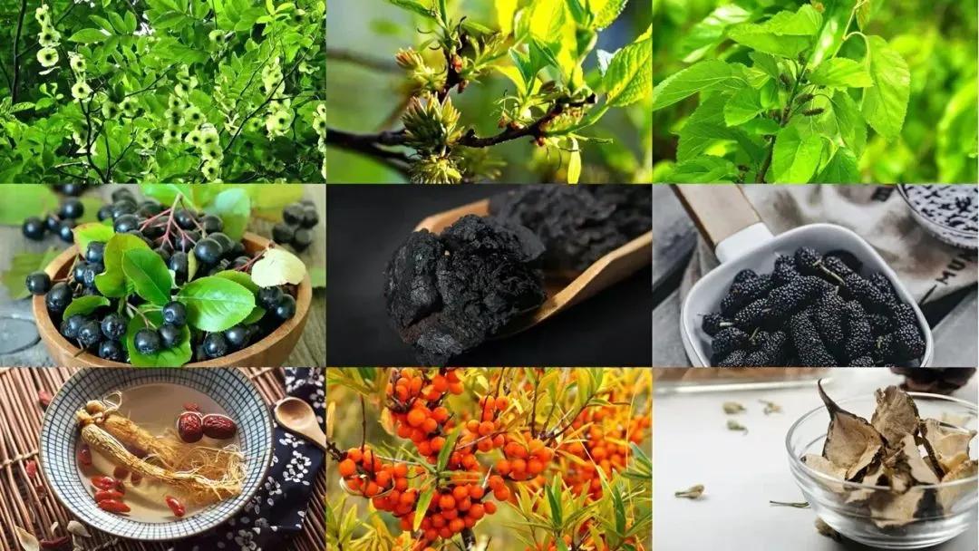 健康中国2020健康扶贫,健康中国2020-2035