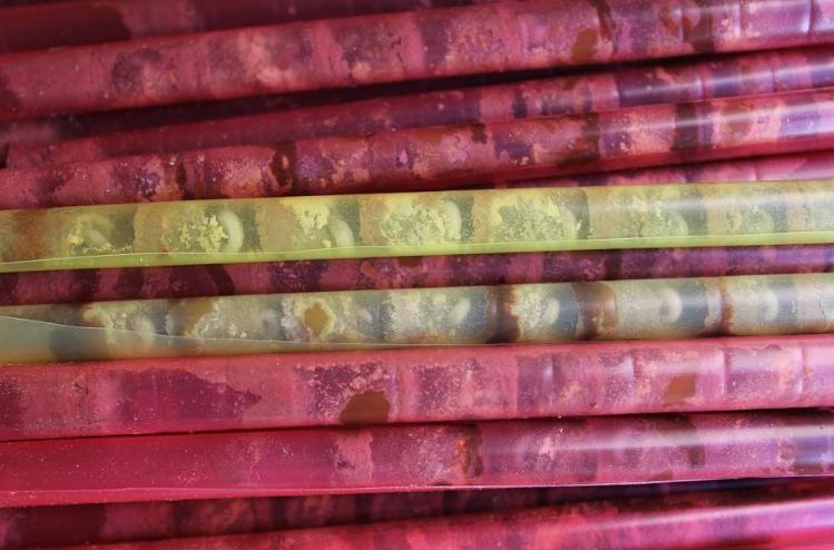 壁蜂人工繁殖饲养能产蜜吗,果树壁蜂授粉回巢