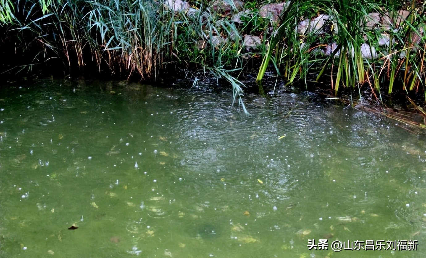 阴雨连绵网易云,阴雨连绵网易云卡点