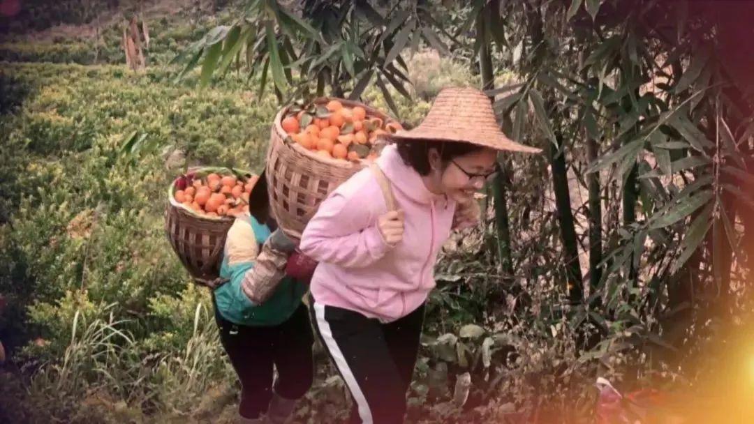 扶贫人物黄文秀,黄文秀立志扶贫