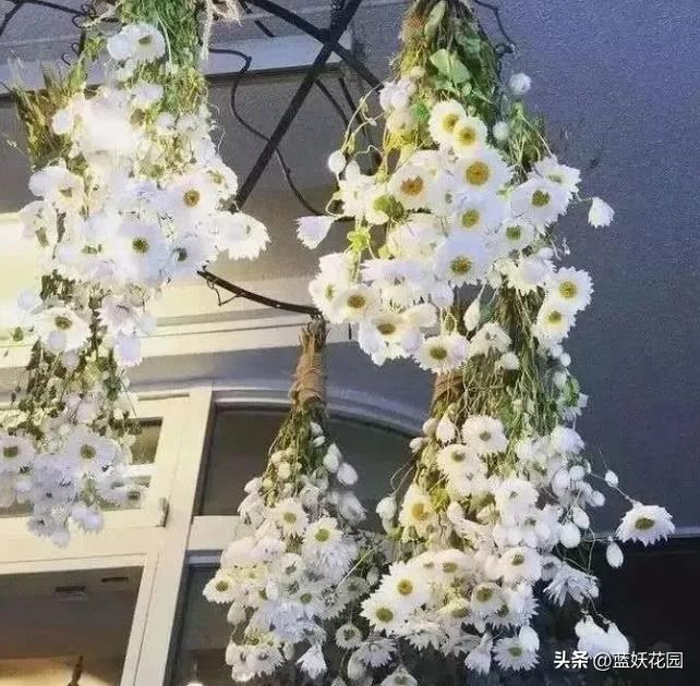 永生花的最大特点是鲜活清新靓丽,哪些永生花四季开花