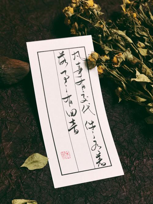 恬淡优美的散文,让生命安然而静美的散文