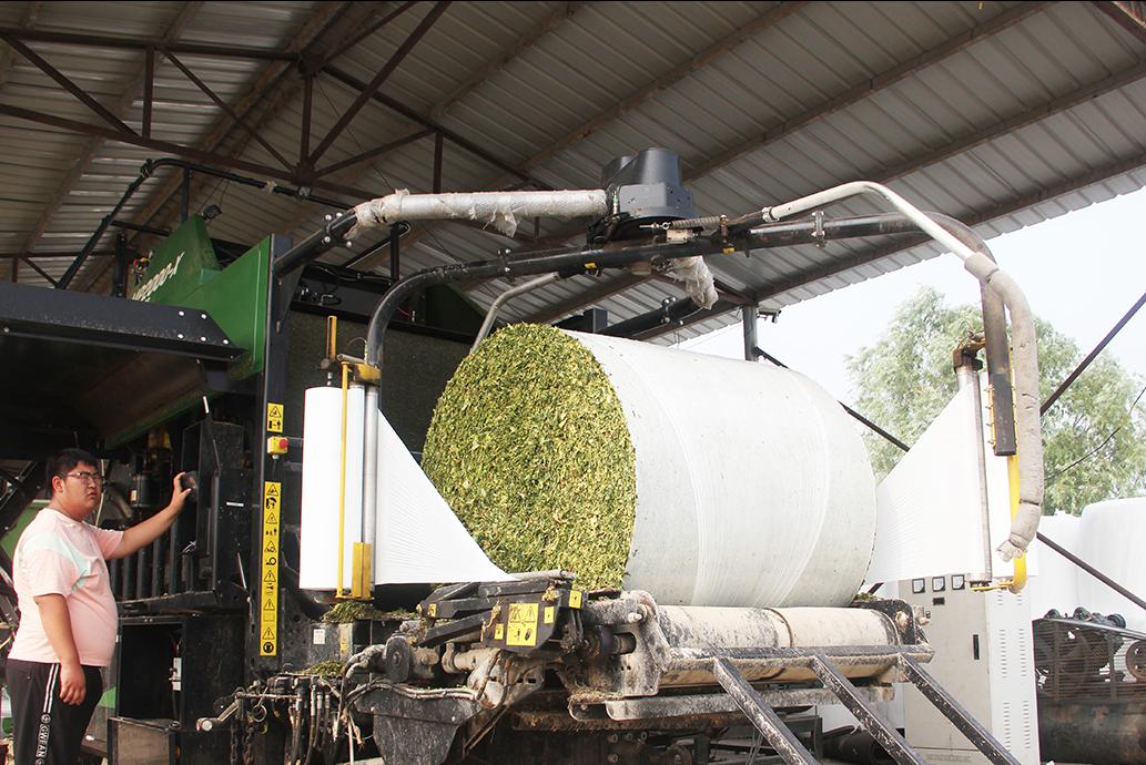 一台收割机9小时收割小麦45公顷,最新款玉米收割机青储收割视频