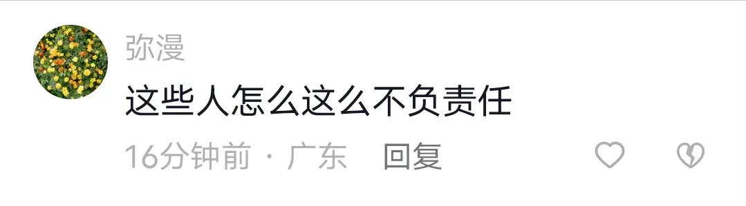 猫德学校为什么要抓猫,猫德学院三年绑架700多只流浪猫