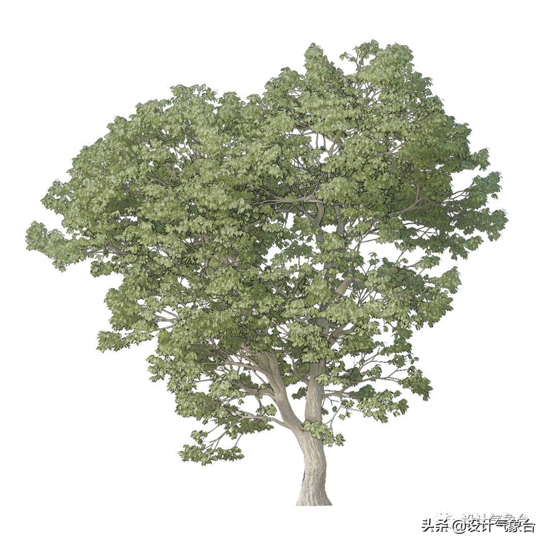 惜败扎哈事务所，但OMA的中国风方案留下一抹惊艳的色彩