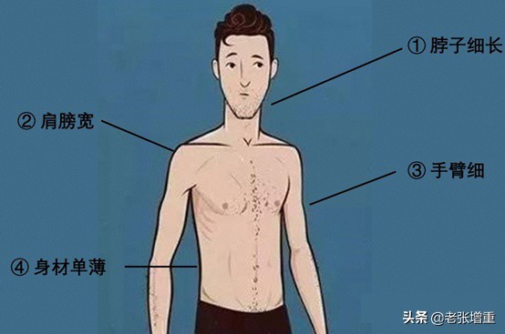 健身小白女生健身房改变圆肩驼背,健身保持魔鬼身材的唯一秘诀