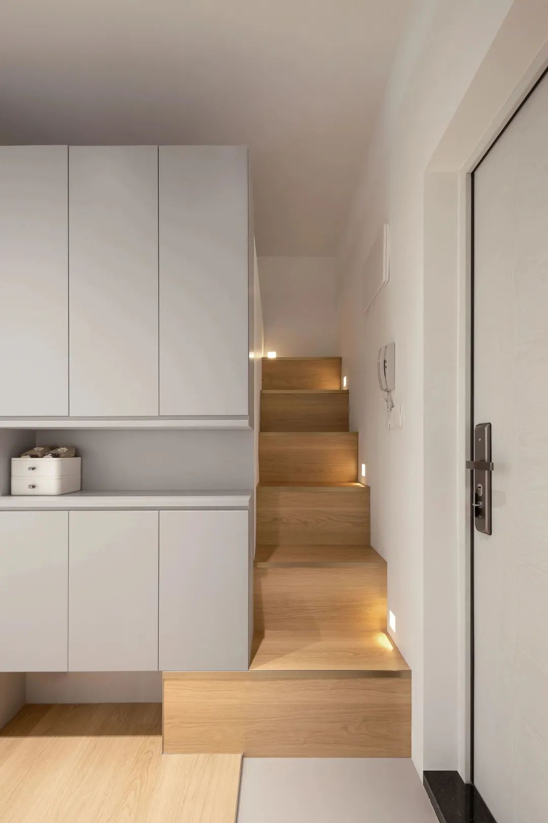 好室发声|不愧是“猫屋”的天花板!这个家的自由属于人和猫