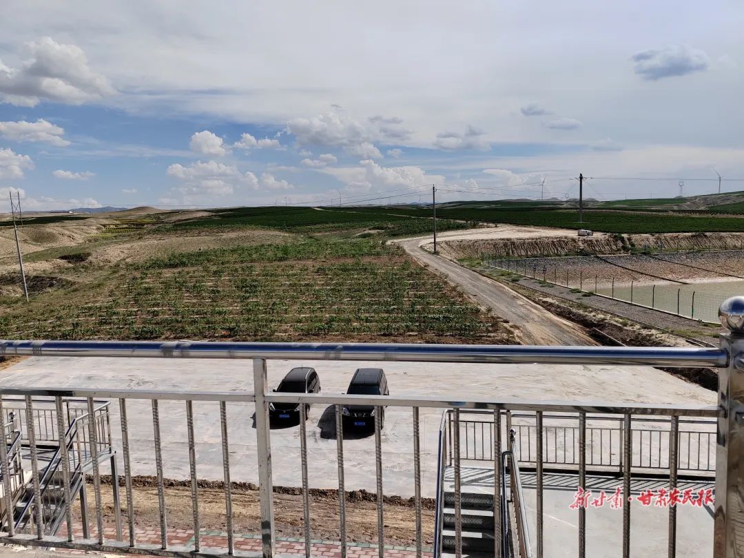 撂荒地治理措施及成效,撂荒地整治有哪些难题