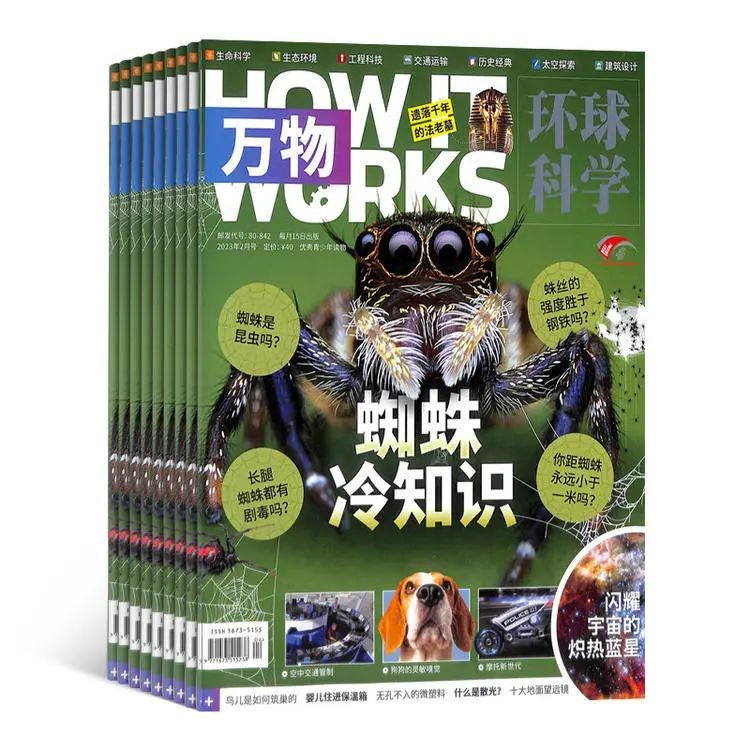 小学生暑假必读分级课外书目录,2024年寒假小学生必读书目