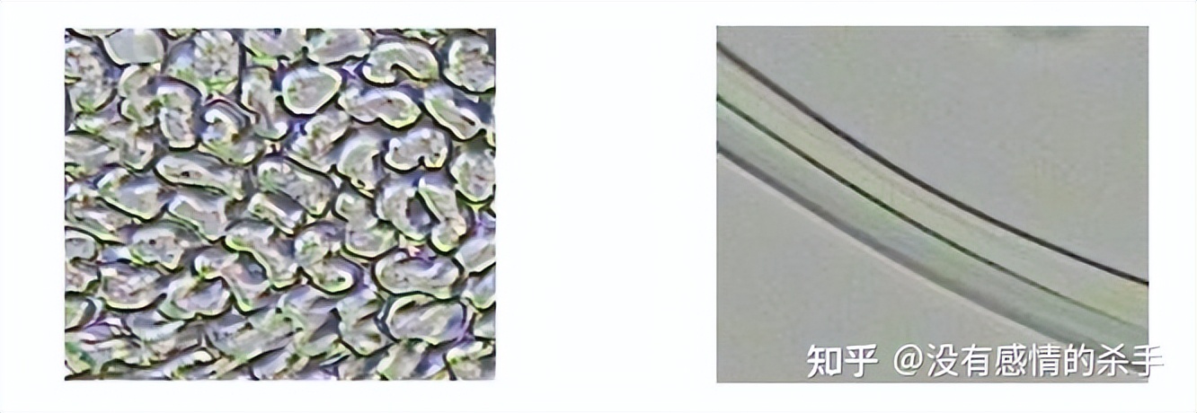 莱赛尔铜氨丝和粘胶纤维的区别,天丝莫代尔和莱赛尔纤维的区别