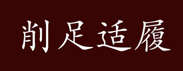 削什么适履成语,削足适履的成语