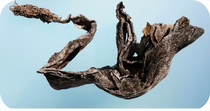 太原市中医药医院,昆布中药材干货