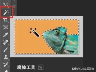 零基础使用型ps课程,零基础学习ps教程