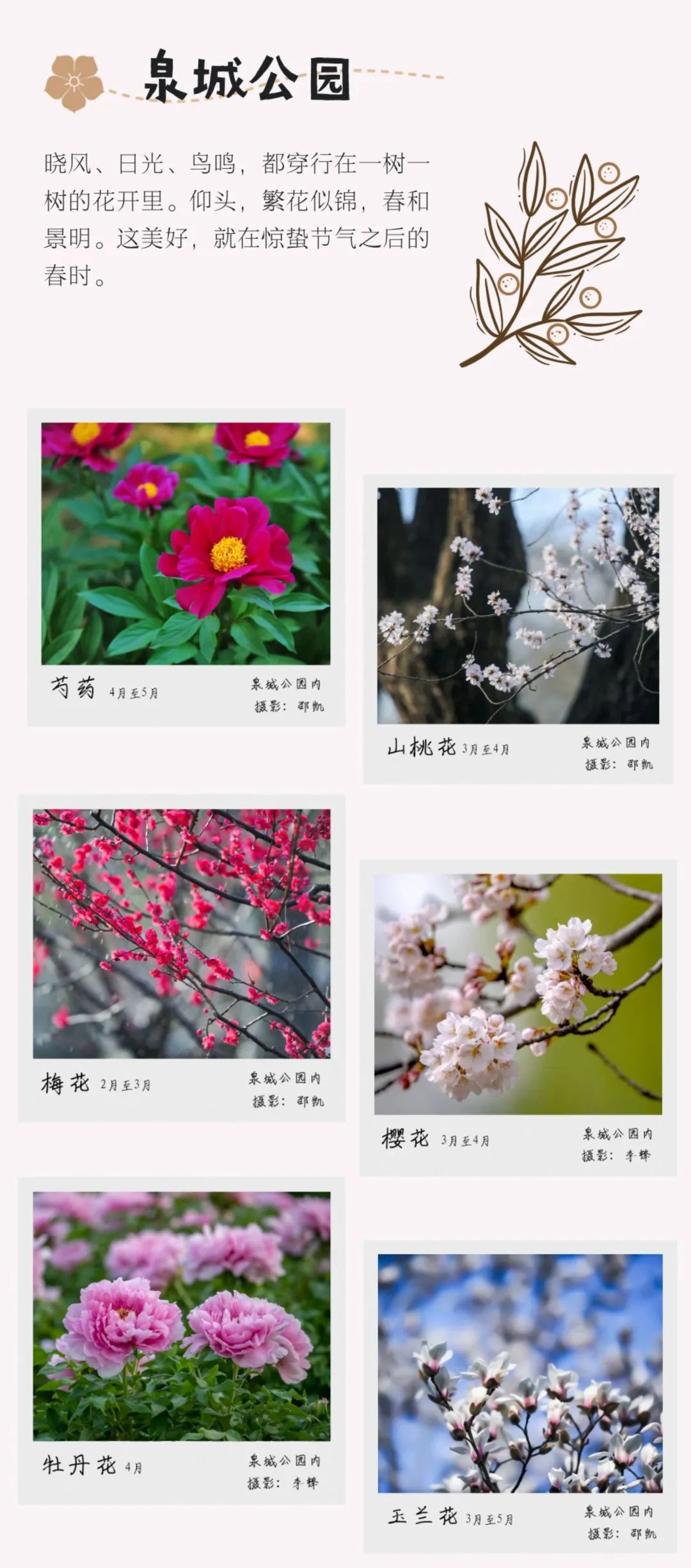 踏青济南攻略,济南黄河边春游攻略