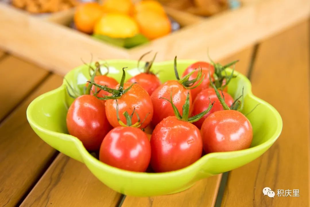 樱花烂漫，没有人会拒绝的粉色浪漫！