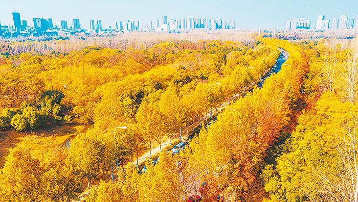 安徽省合肥市旅游景点路径图,合肥市庐江县金牛镇旅游景点