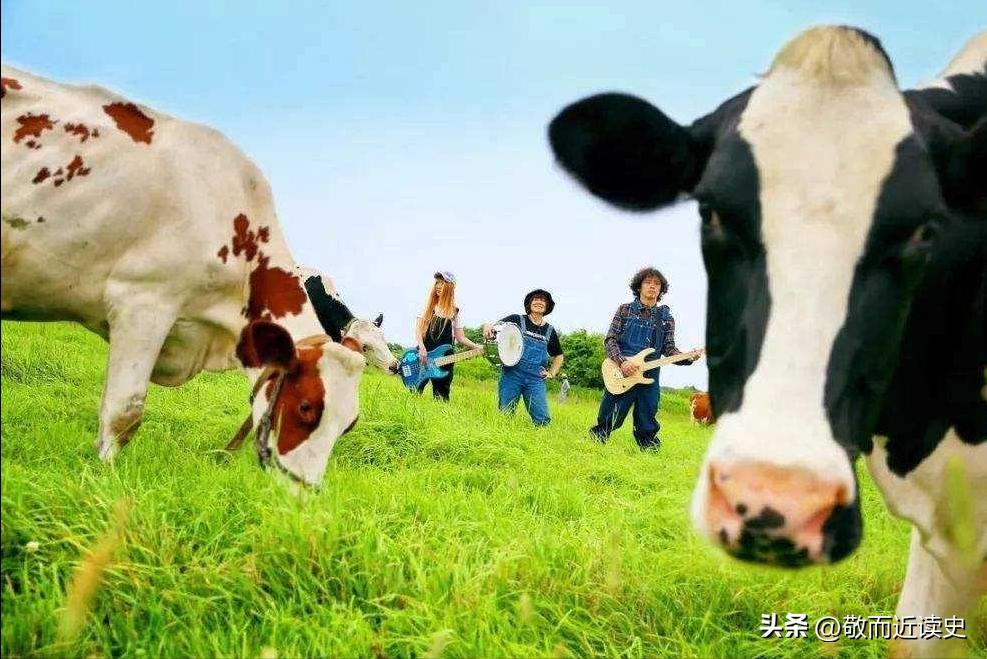 梅西的世界杯荣誉,梅西的世界杯冠军