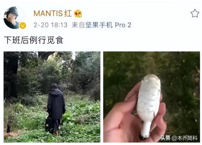 断舍离的极简生活9件家具,断舍离女孩88平6件家具