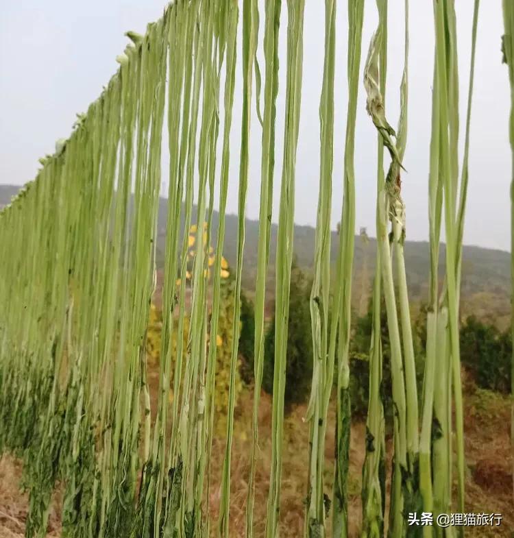 睢水安宁的意思,睢水安宁是什么意思