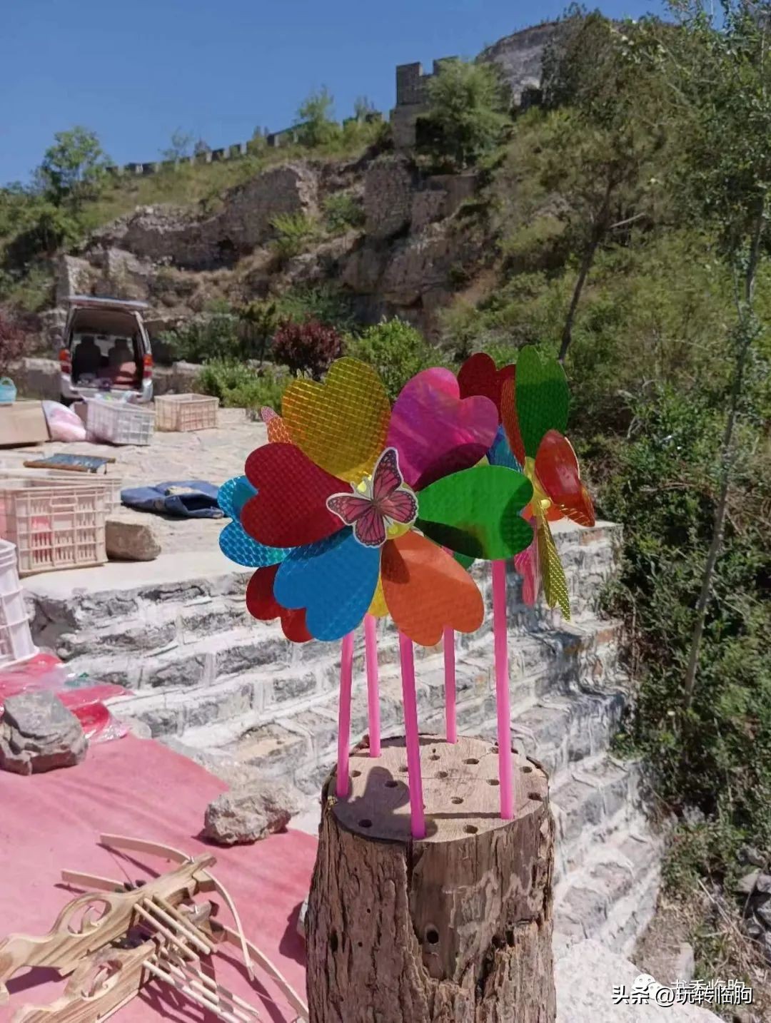 樱花谷无量山,樱花谷风景区