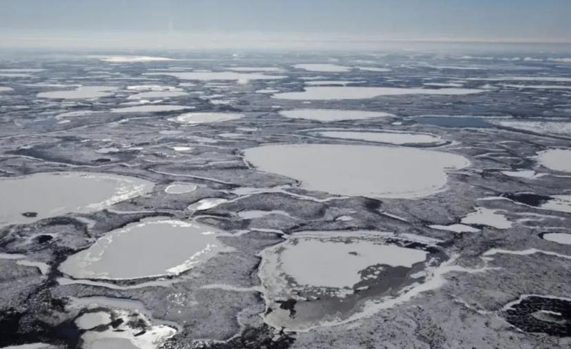 关于史前病毒的研究,史前巨型病毒是真的吗
