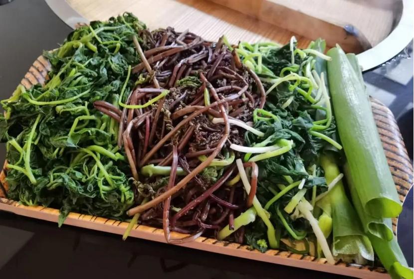 近郊休闲生态农场有哪些推荐,北京近郊休闲生态农场吃喝玩一体