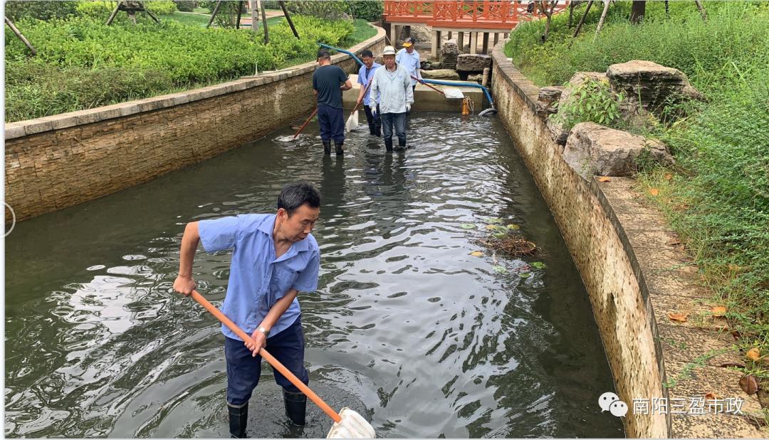 党建引领红色物业各类工作表格,南阳市三盈市政工程有限公司邝浩
