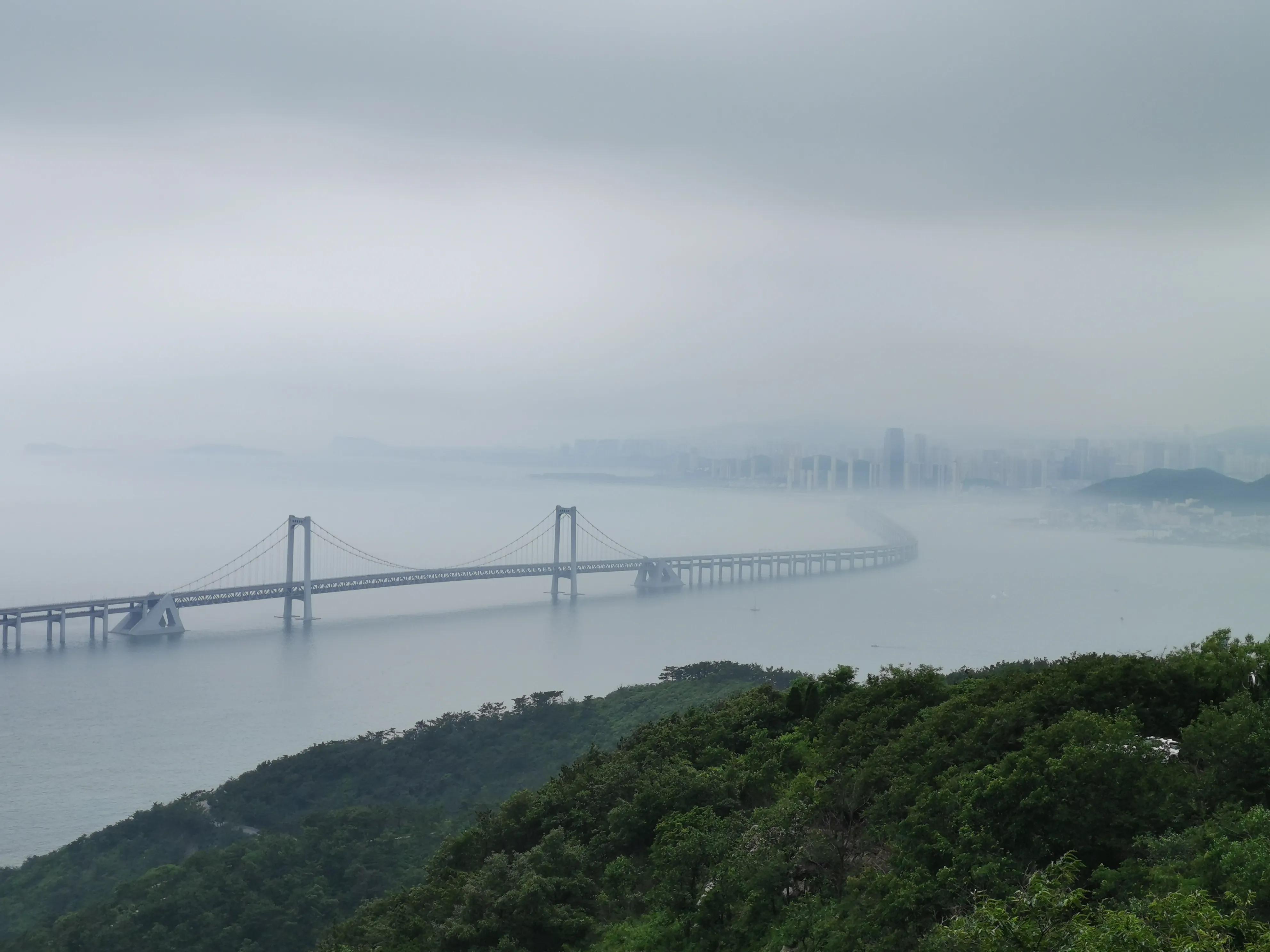 大连动物森林公园旅游攻略,大连森林动物公园旅游攻略