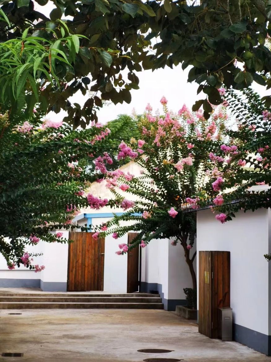 心动！那些藏在崇明民宿里的初秋小美好