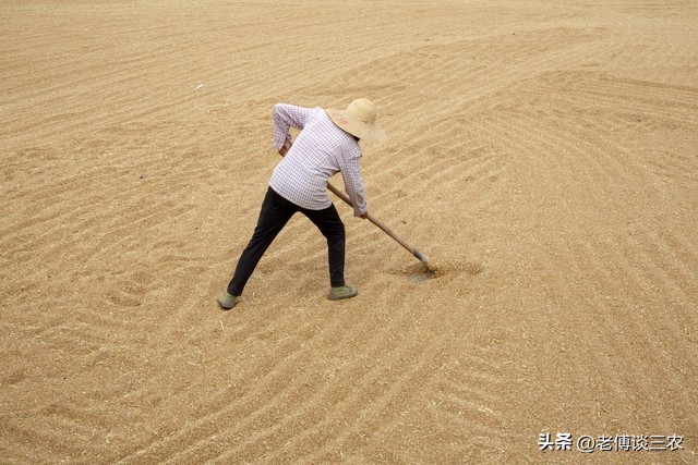 普通农户卖干货,将面临禁止或违法,农民应该早了解避免经济损失