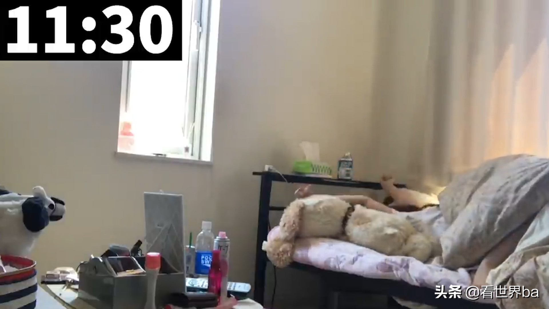 日本啃老族现象对中国的启示,日本23岁啃老族