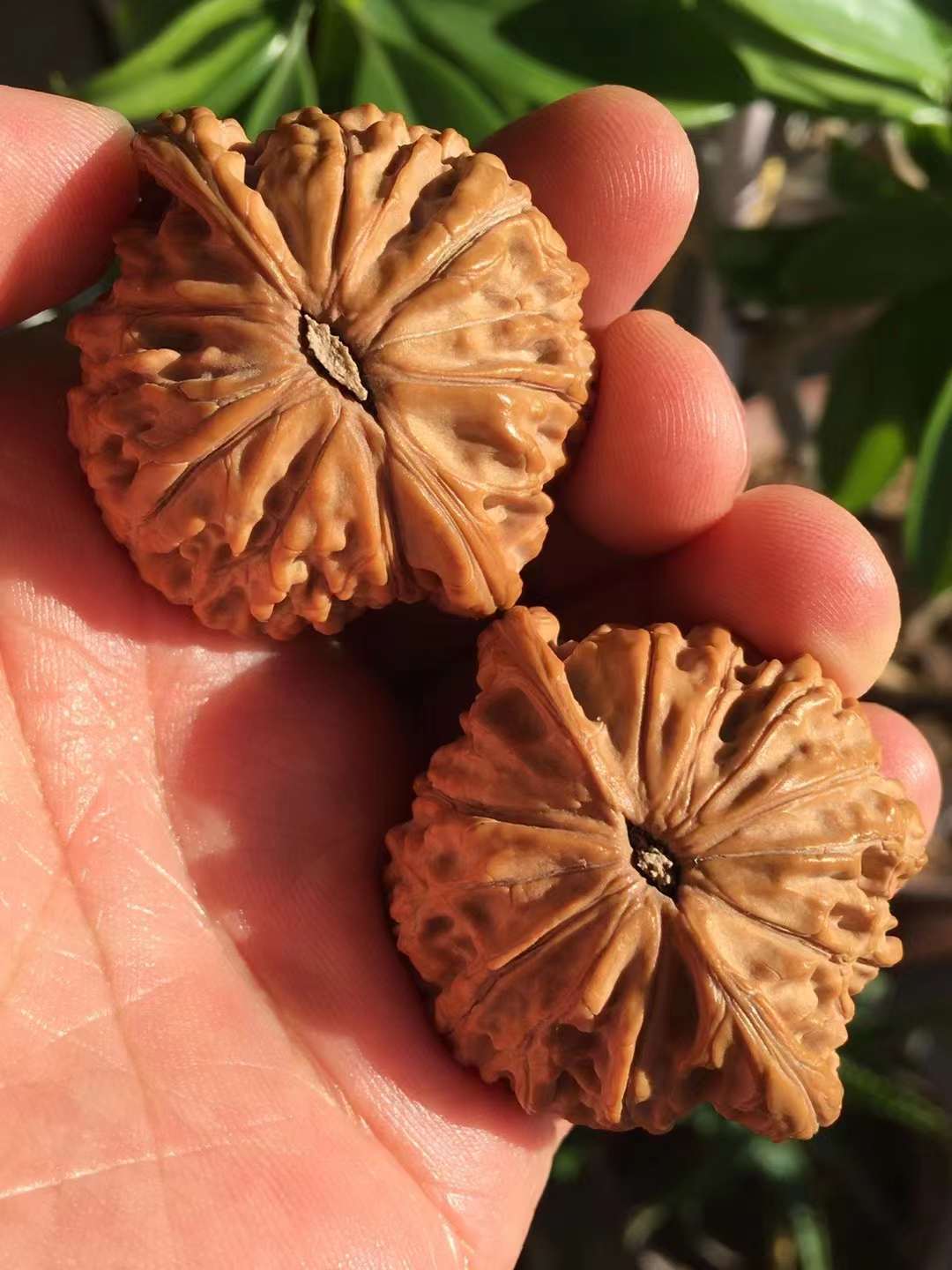 乾隆磨盘和山地磨盘区别对比,乾隆磨盘和普通磨盘哪个贵