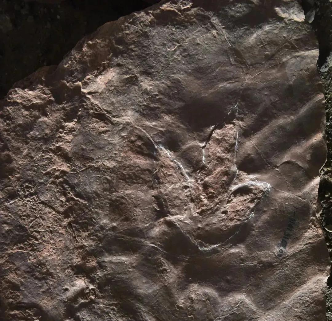 原来你是这样的男人,原来你是这样的顾先生追妻片段